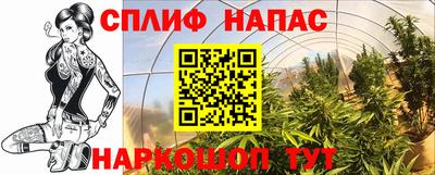 соль курить ск Гай