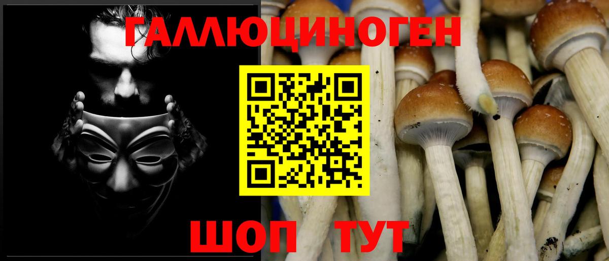 Псилоцибиновые грибы Magic Shrooms  Вход с VPN  Городец 