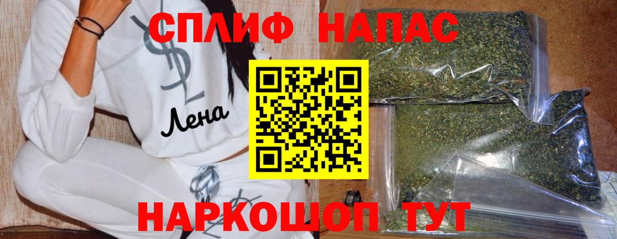 Конопля сатива Городец